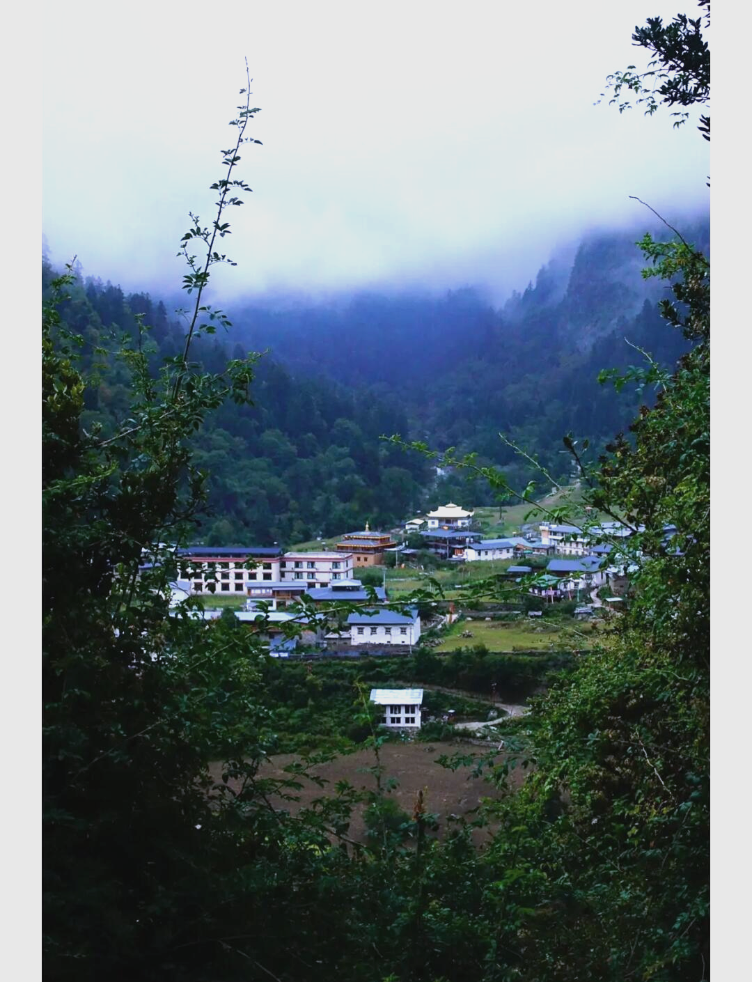 九游体育娱乐-自然界之巅徒步竞速，挑战极限的荒野之旅的简单介绍