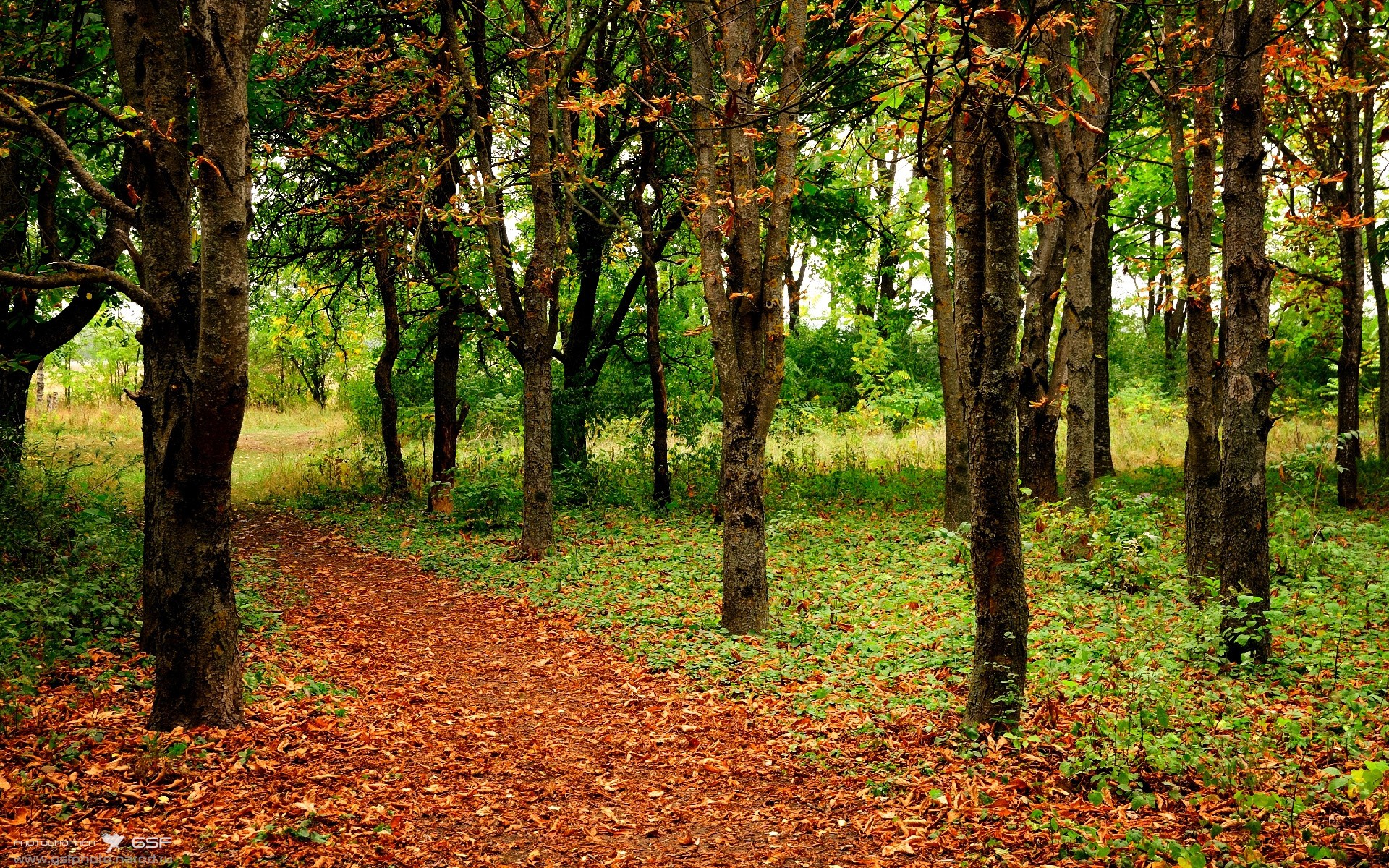 电竞投注平台-卡利亚里俱乐部士气高涨，切尔西队势如破竹，卡利亚里前锋