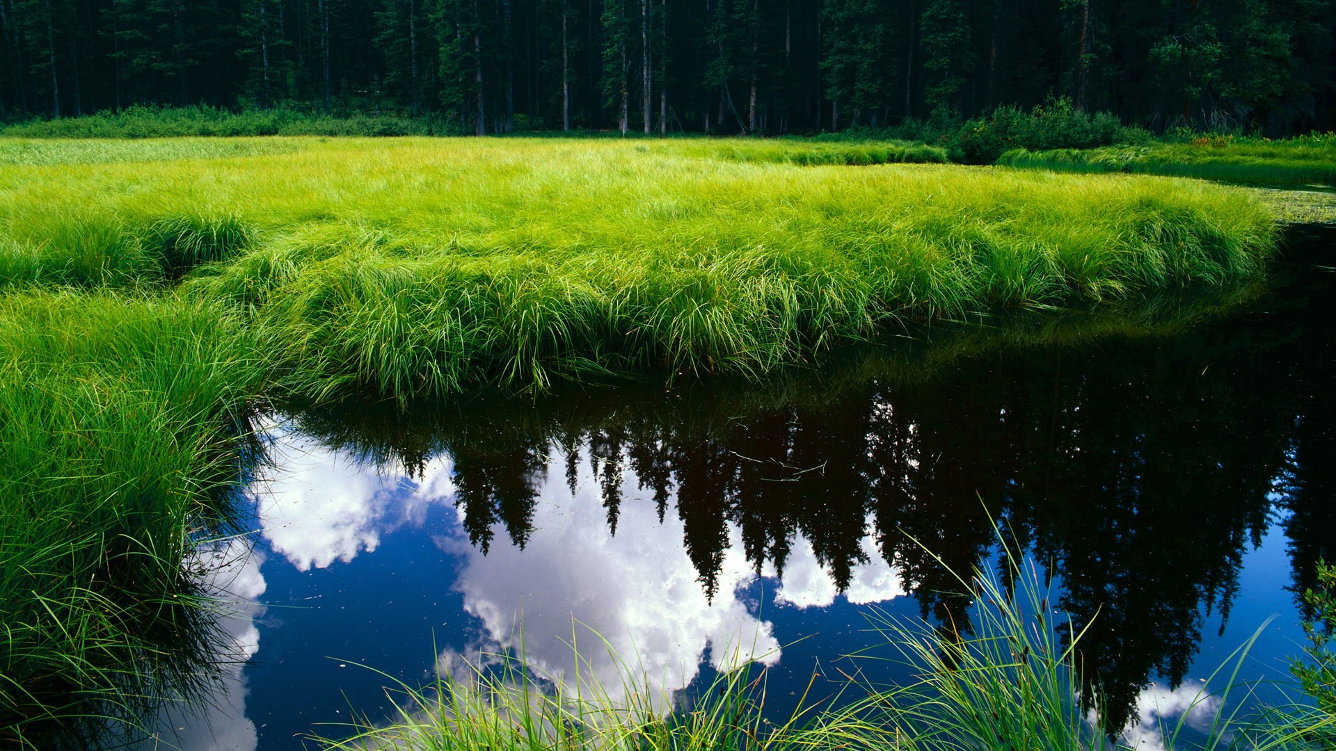 Nine Gaming-电竞赛事数据分析：用大数据提升比赛策略与选手表现，电竞赛事数据平台