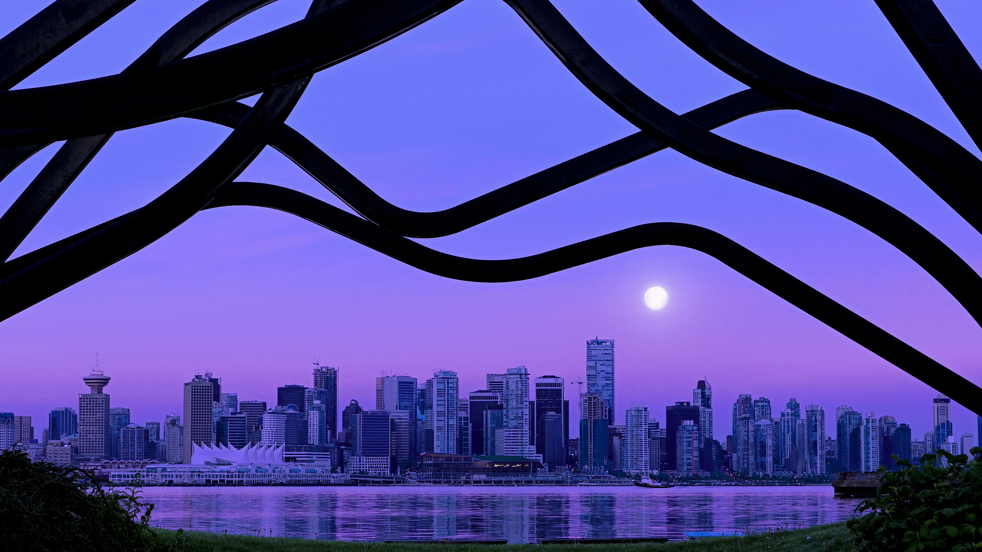 九游娱乐体育官网-顶级赛事夺得冠军，实现完美收官，比赛排名冠军