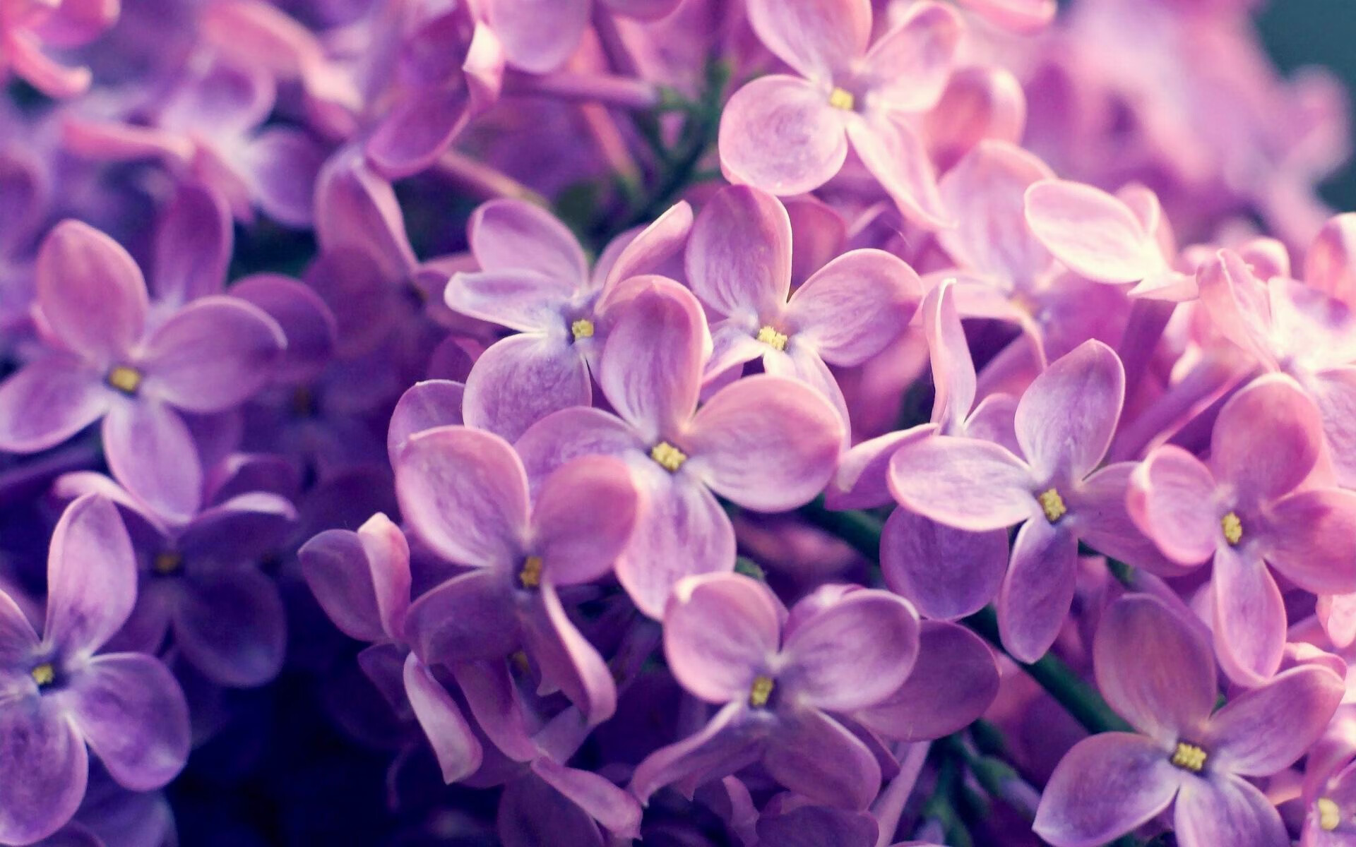 比赛关键时刻防守选择的心理博弈，比赛中有哪些防守战术