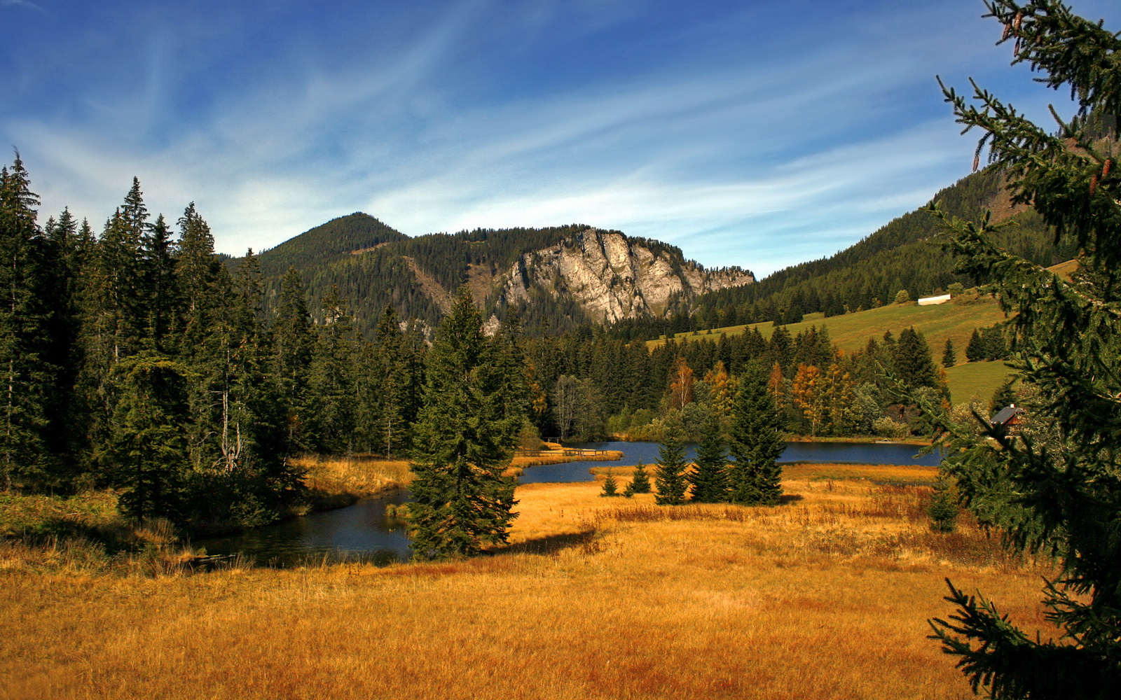 尤文图斯引入关键中场,战斗力大幅提升