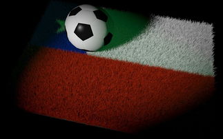 九游体育在线-捷克女篮在欧洲锦标赛中表现抢眼，争夺金牌