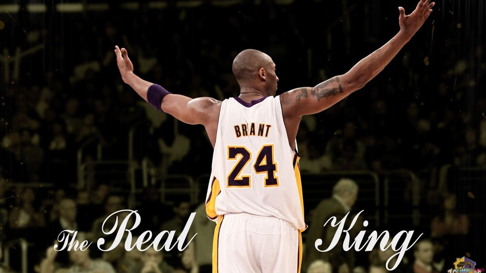 _互动运动艺术展：科技与体育的创新融合_，科技与体育主题标语